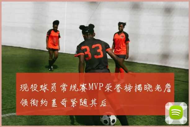 现役球员常规赛MVP荣誉榜揭晓老詹领衔约基奇紧随其后